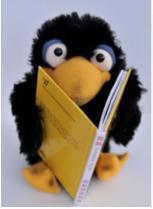 Bibliotheksgschichtli